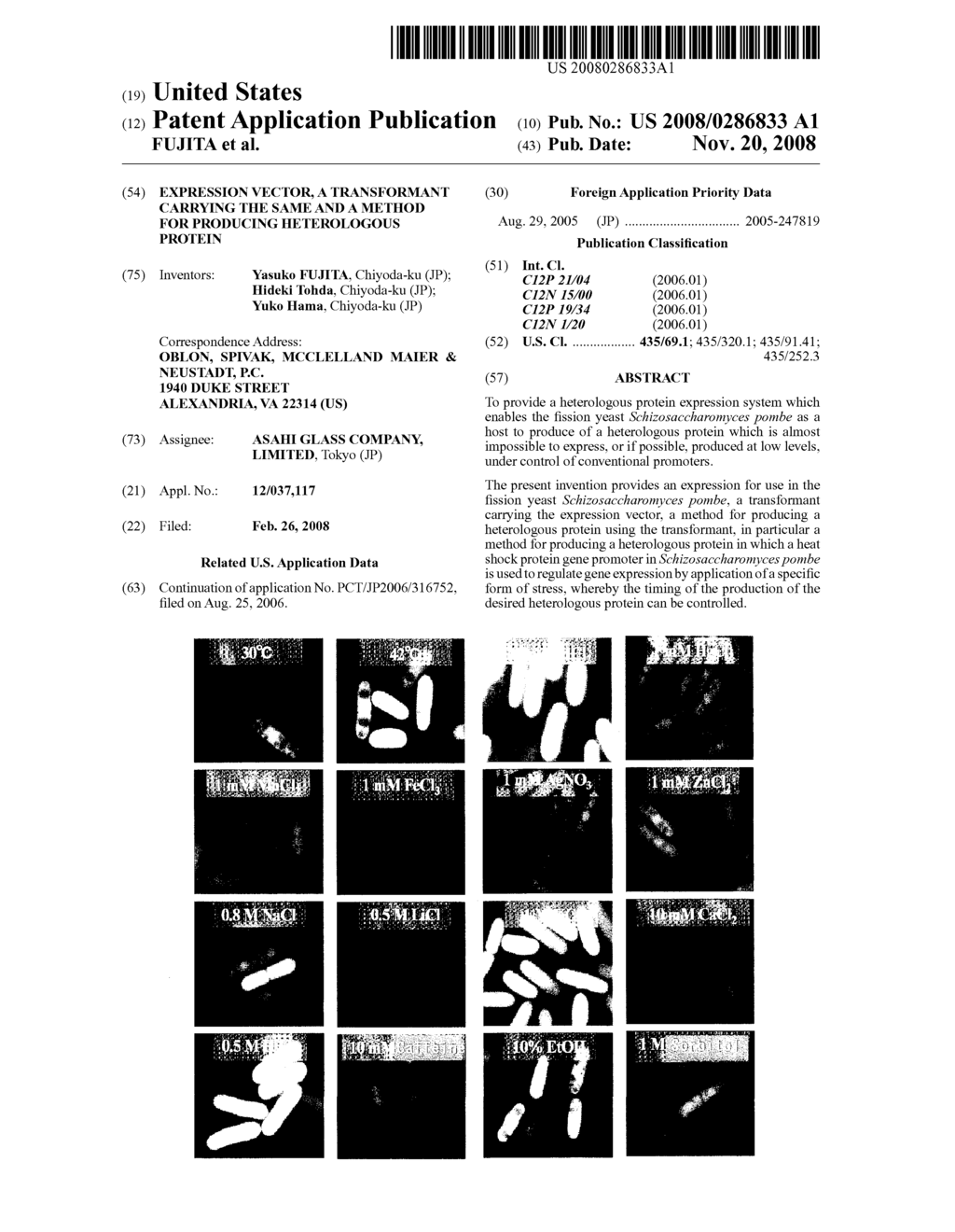 EXPRESSION VECTOR, A TRANSFORMANT CARRYING THE SAME AND A METHOD FOR PRODUCING HETEROLOGOUS PROTEIN - diagram, schematic, and image 01