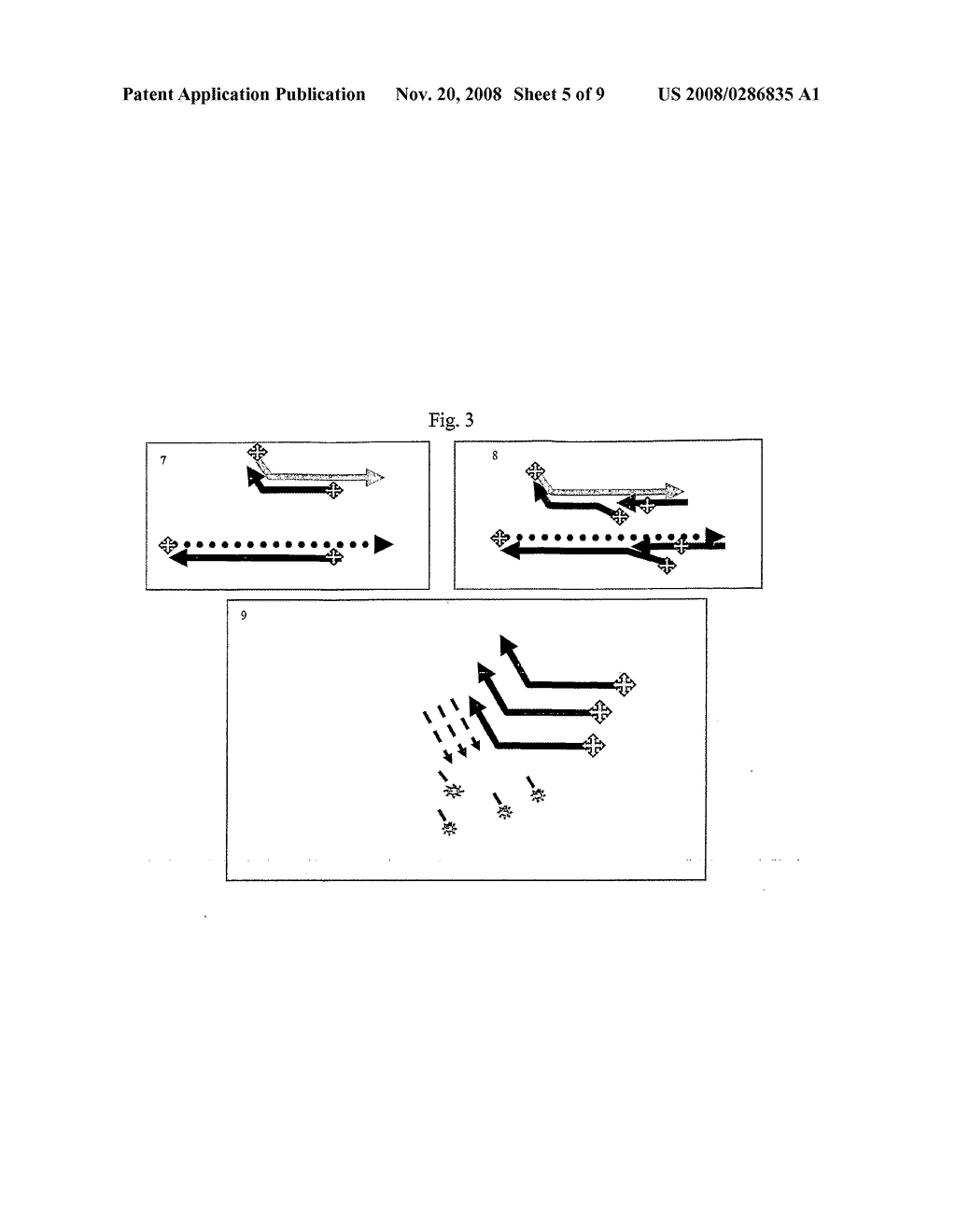 Isothermal Amplification of Nucleic Acids - diagram, schematic, and image 06