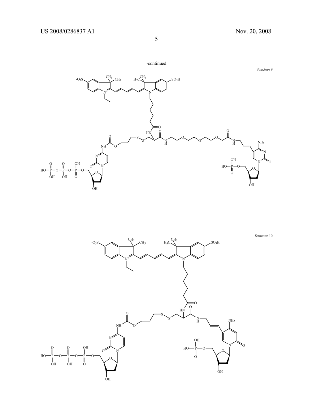 Nucleotide analogs - diagram, schematic, and image 07