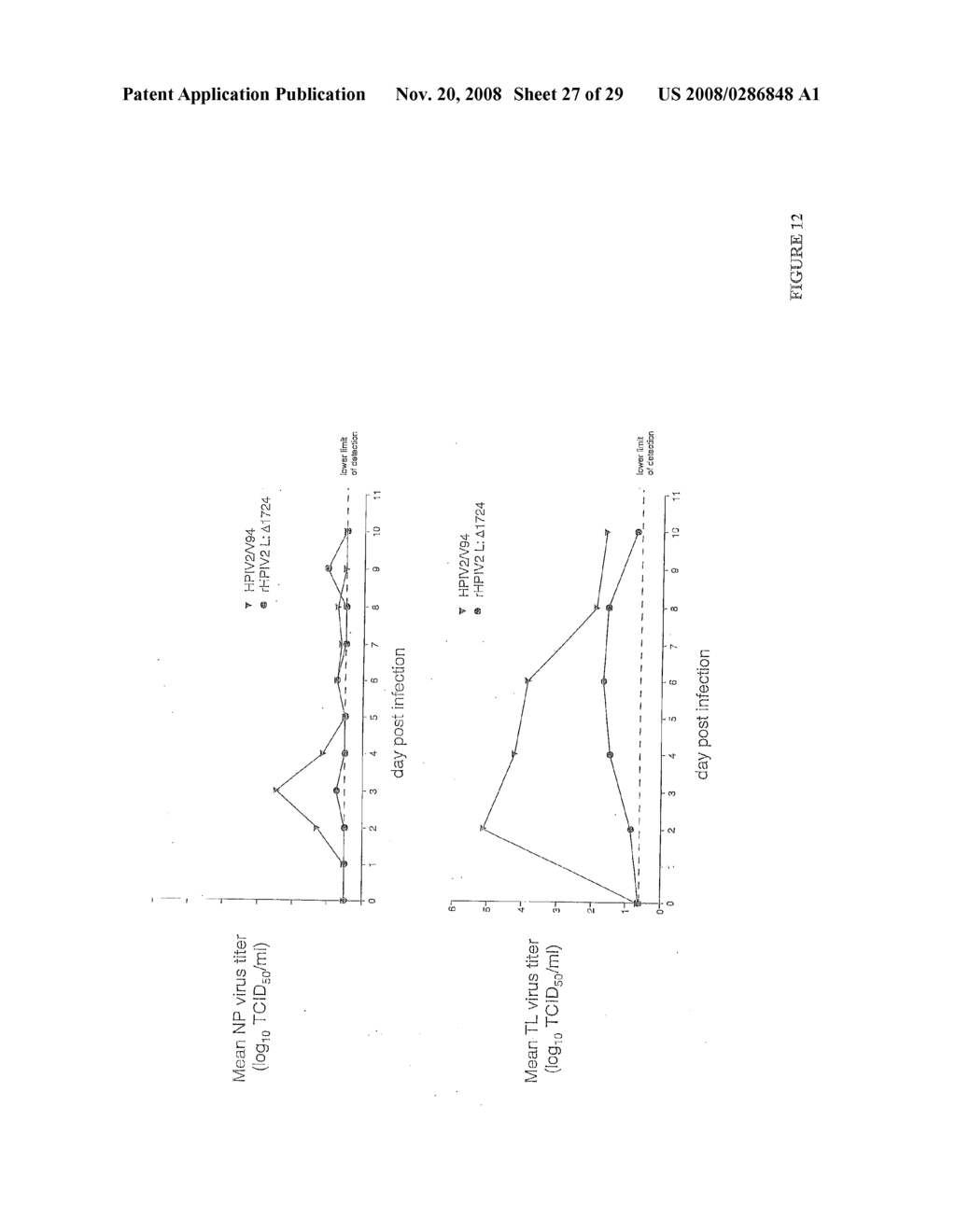 RECOVERY OF RECOMBINANT HUMAN PARAINFLUENZA VIRUS TYPE 2 (HPIV2) FROM cDNA AND USE OF RECOMBINANT HPIV2 IN IMMUNOGENIC COMPOSITIONS AND AS VECTORS TO ELICIT IMMUNE RESPONSES AGAINST PIV AND OTHER HUMAN PATHOGENS - diagram, schematic, and image 28