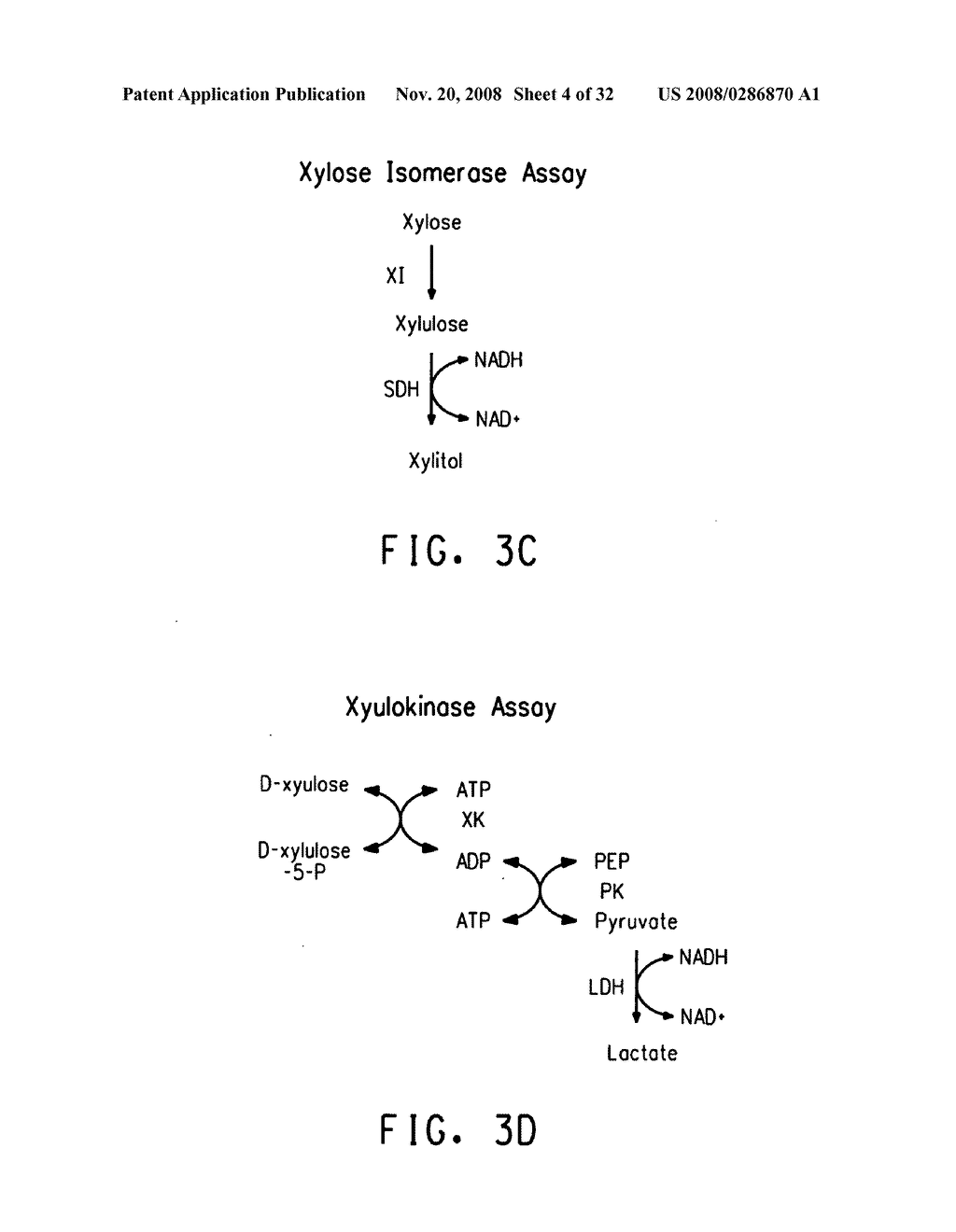 XYLITOL SYNTHESIS MUTANT OF XYLOSE-UTILIZING ZYMOMONAS FOR ETHANOL PRODUCTION - diagram, schematic, and image 05