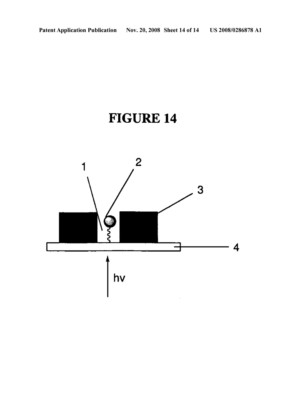 Systems, Compositions And Methods For Nucleic Acid Detection - diagram, schematic, and image 15