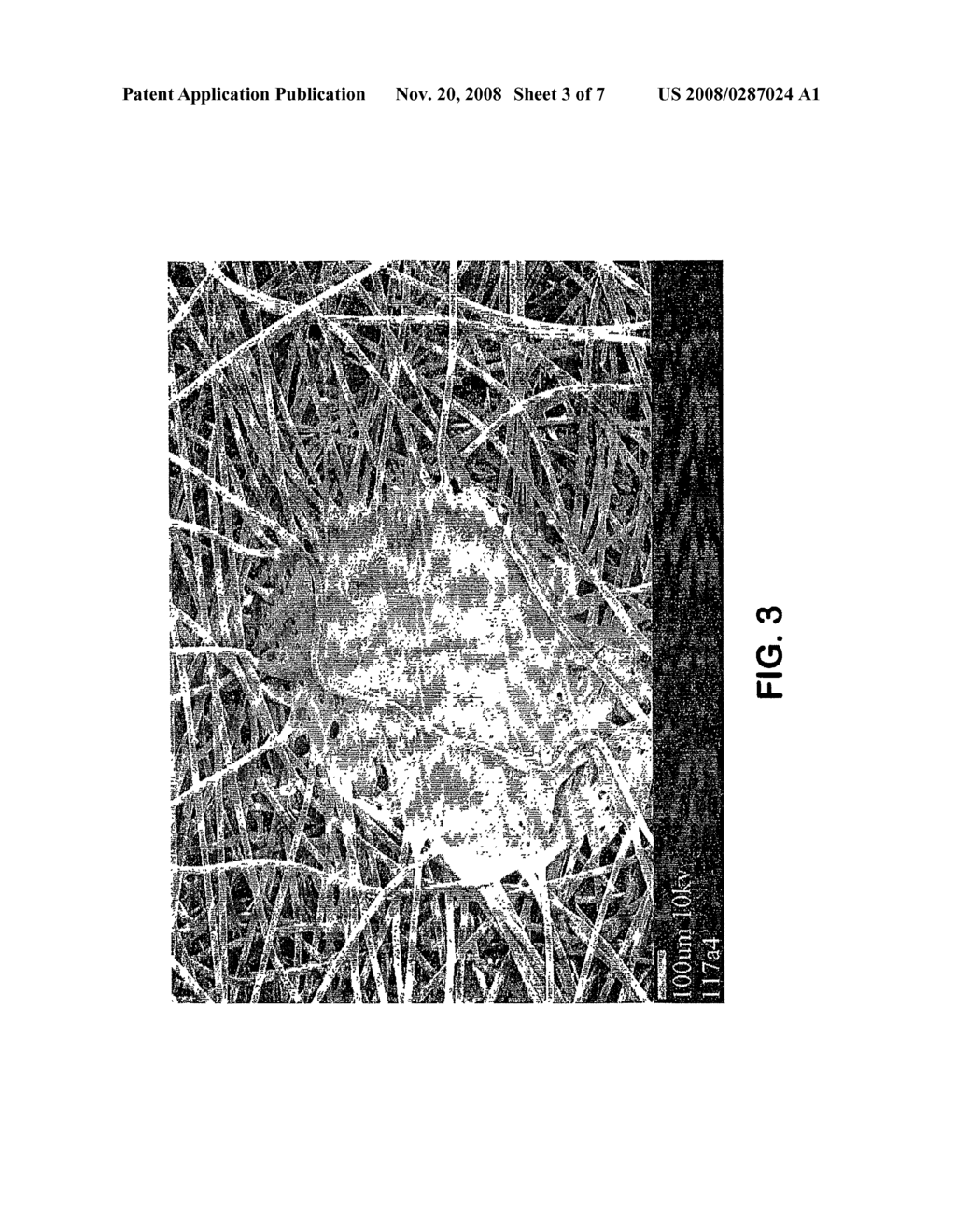 Biodegradable Continuous Filament Web - diagram, schematic, and image 04