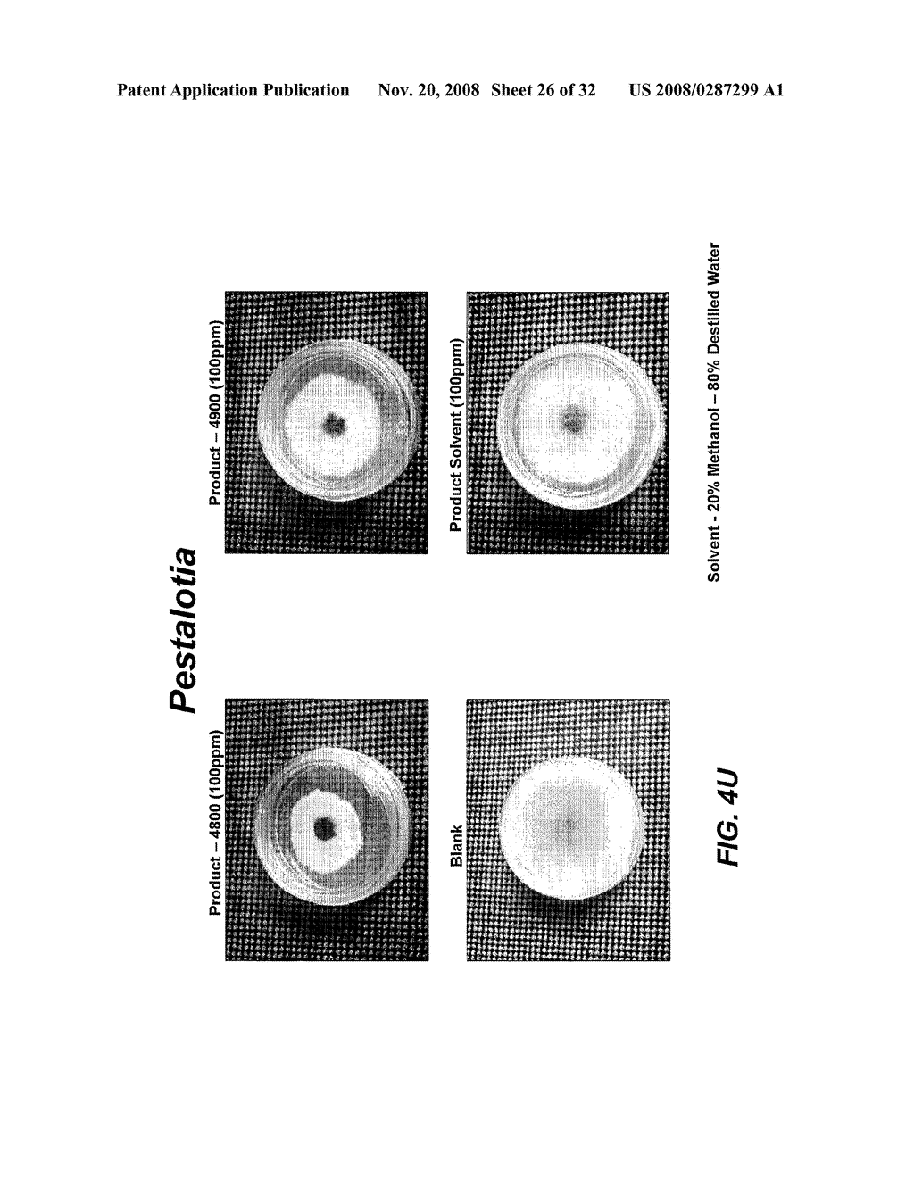 Use of Imidazole and/or Triazole Derivatives for Combating Plant Pests; as Well as Method for Controlling Diseases/Insects/Mites/Nematodes and Weeds, Particularly Foliar and/or Soil Diseases - diagram, schematic, and image 27