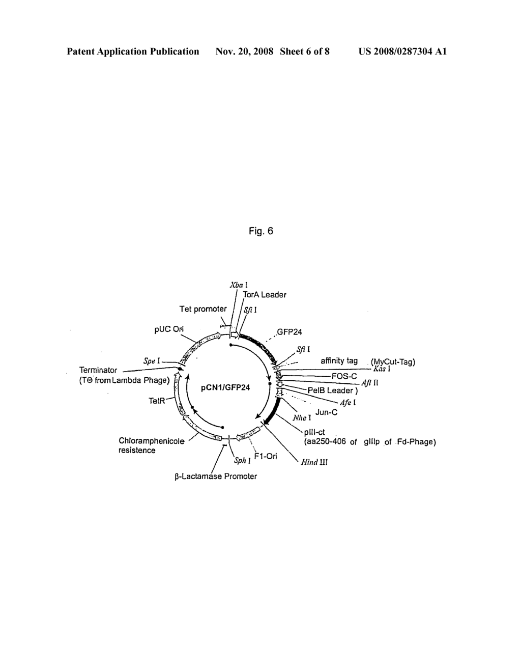 Mixture of at Least Two Fusion Proteins as Well as Their Production and Use - diagram, schematic, and image 07