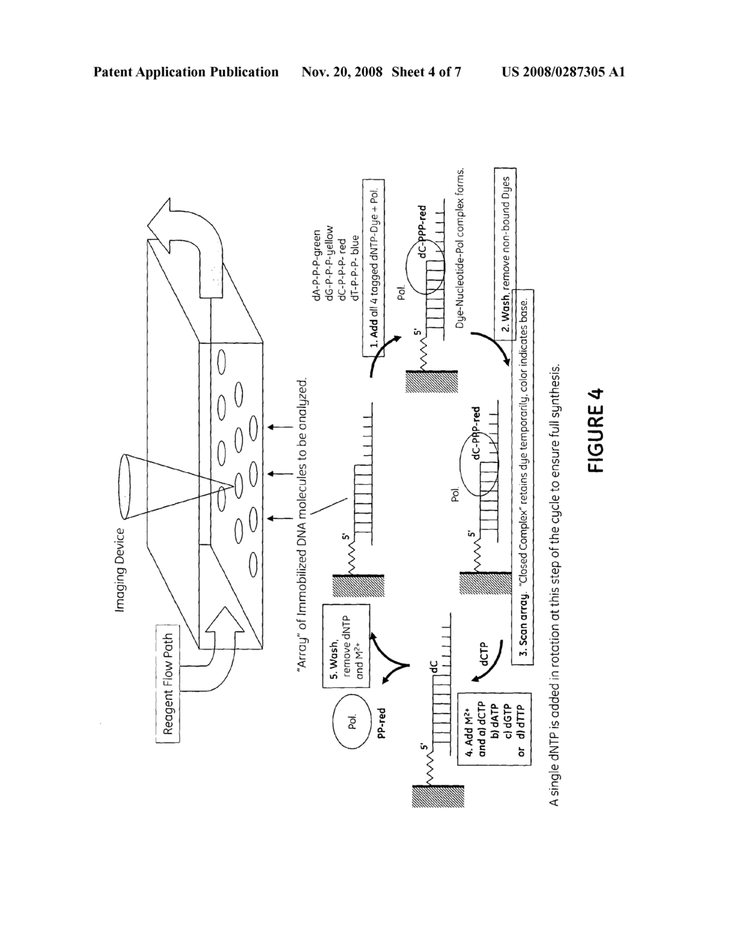 Method for Nucleic Acid Analysis - diagram, schematic, and image 05