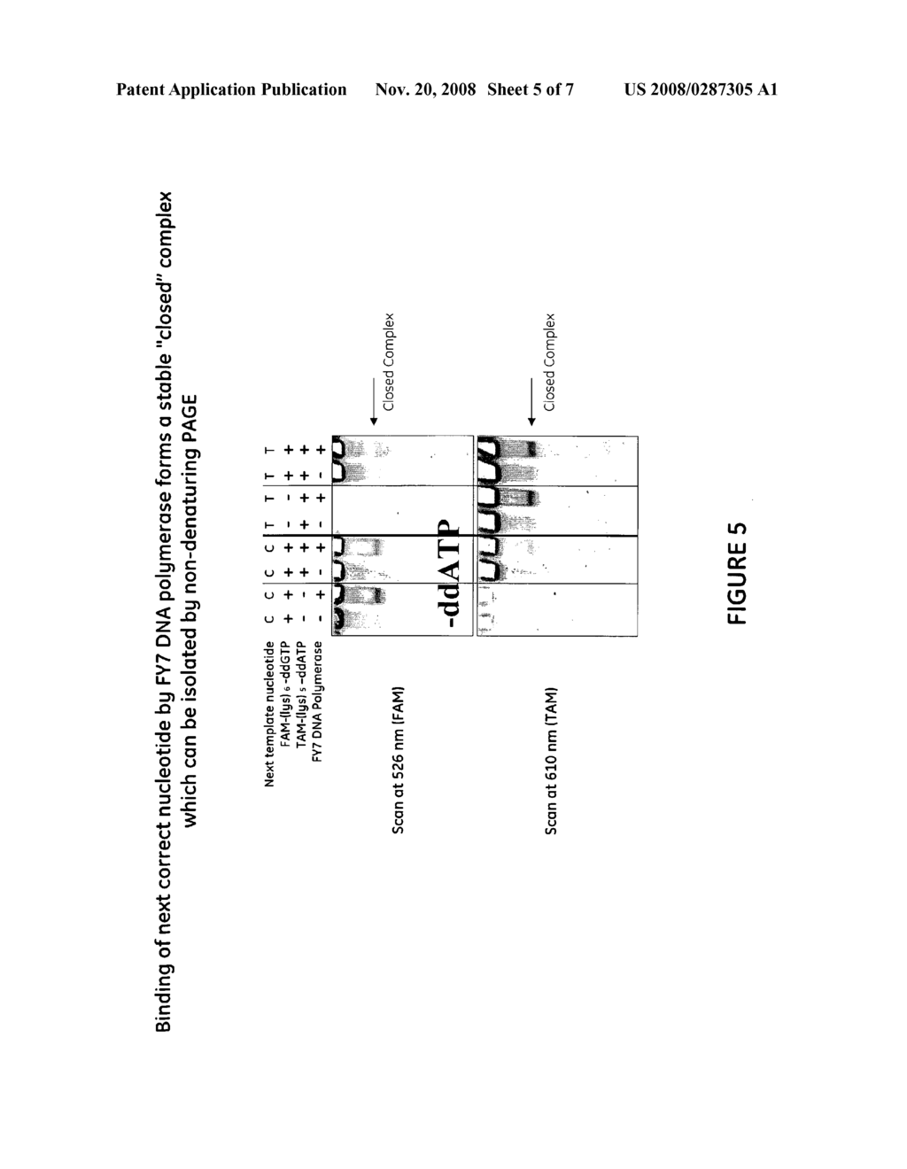 Method for Nucleic Acid Analysis - diagram, schematic, and image 06