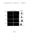 Membrane-Translocating Peptides diagram and image