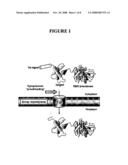 Compositions & methods for monitoring and altering protein folding and solubility diagram and image