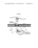 Compositions & methods for monitoring and altering protein folding and solubility diagram and image