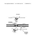 Compositions & methods for monitoring and altering protein folding and solubility diagram and image