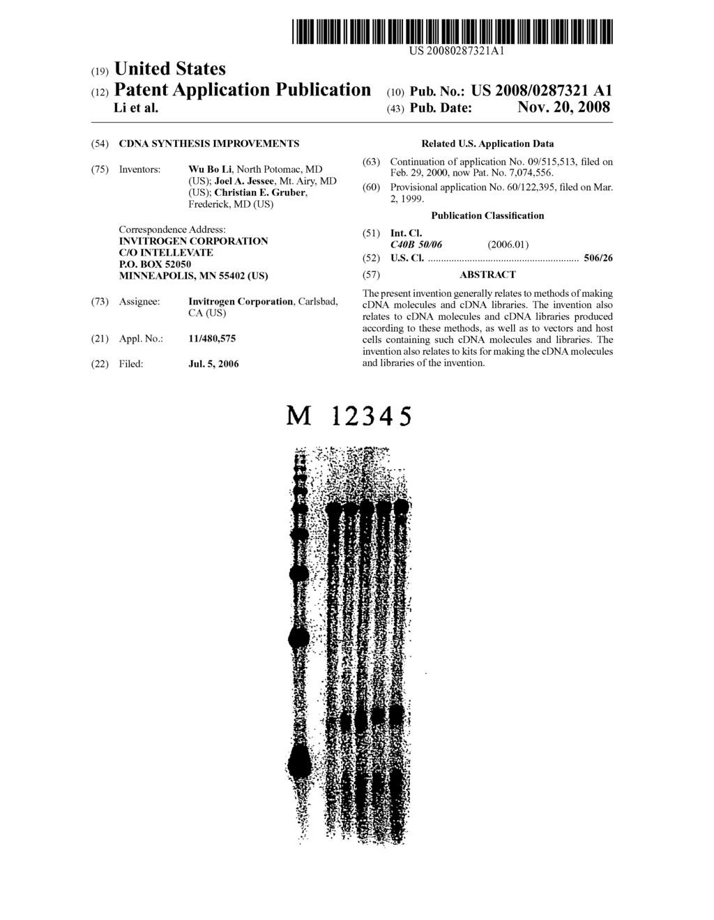 cDNA synthesis improvements - diagram, schematic, and image 01