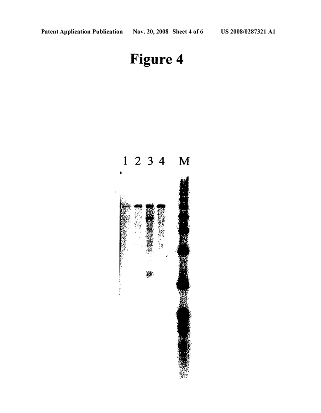 cDNA synthesis improvements - diagram, schematic, and image 05