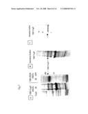 Chimeric Proteins, Their Preparation and Pharmaceutical Compositions Containing Them diagram and image