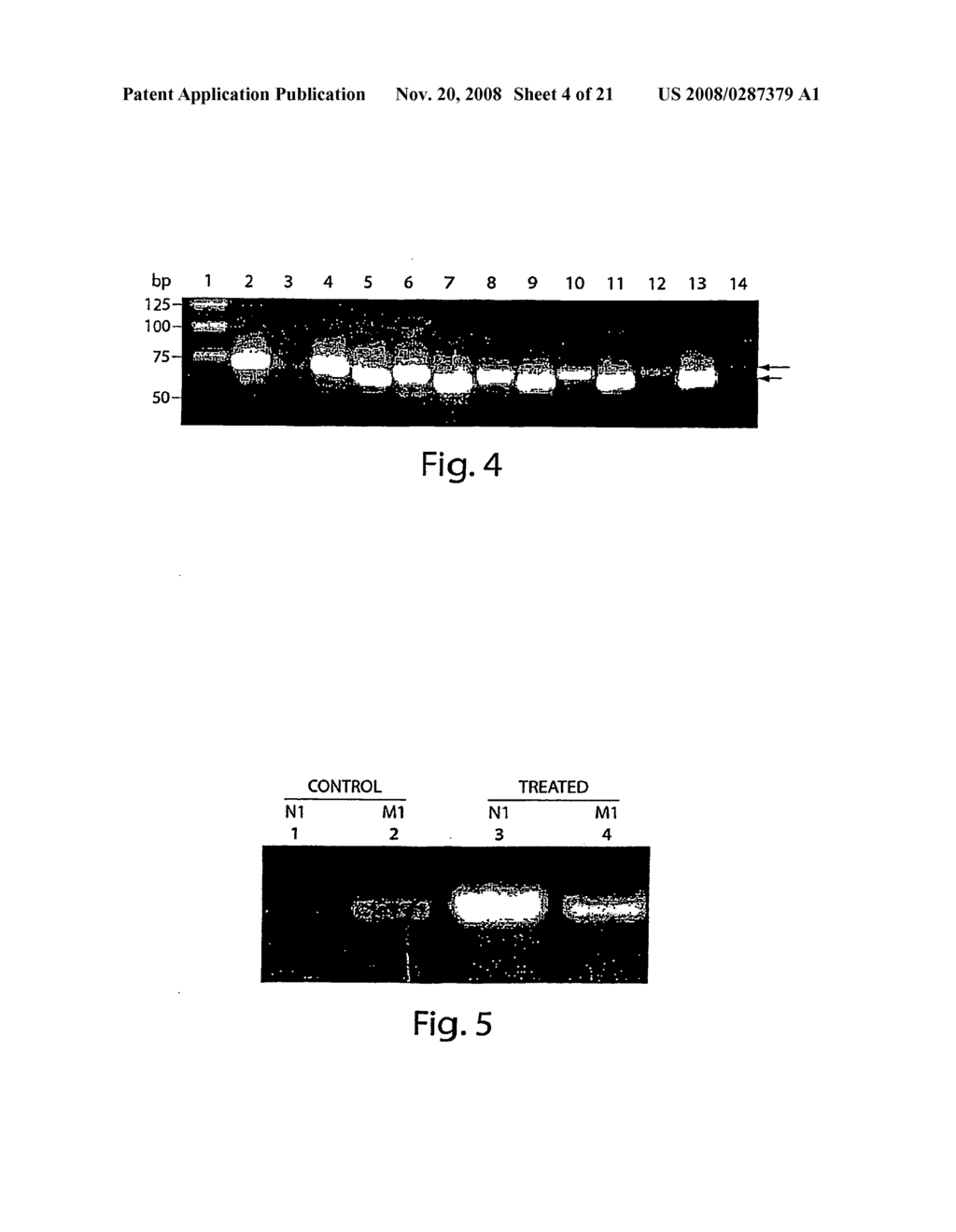 Oligonucleotide Complex Compositions and Methods of Use as Gene Alteration Tools - diagram, schematic, and image 05