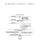 Oligonucleotide Complex Compositions and Methods of Use as Gene Alteration Tools diagram and image