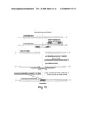 Oligonucleotide Complex Compositions and Methods of Use as Gene Alteration Tools diagram and image