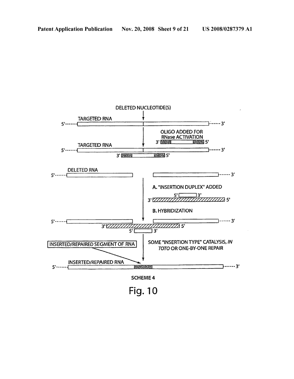 Oligonucleotide Complex Compositions and Methods of Use as Gene Alteration Tools - diagram, schematic, and image 10