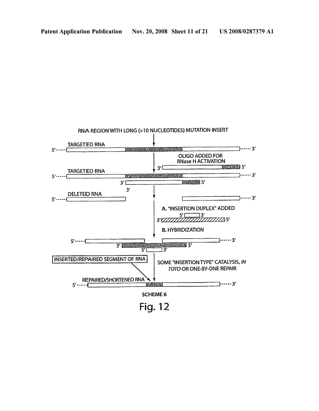 Oligonucleotide Complex Compositions and Methods of Use as Gene Alteration Tools - diagram, schematic, and image 12