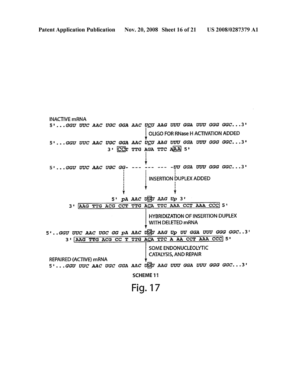 Oligonucleotide Complex Compositions and Methods of Use as Gene Alteration Tools - diagram, schematic, and image 17