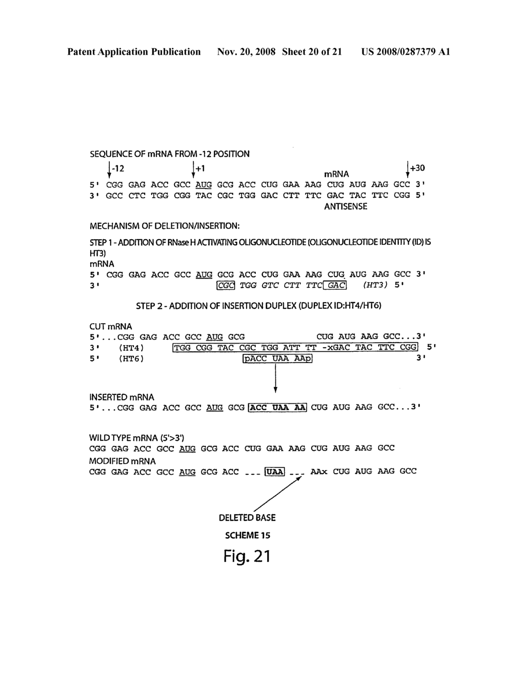 Oligonucleotide Complex Compositions and Methods of Use as Gene Alteration Tools - diagram, schematic, and image 21