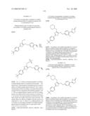 PHENYL AND PYRIDINYL-1,2,4-OXADIAZOLONE DERIVATIVES, PROCESSES FOR THEIR PREPARATION AND THEIR USE AS PHARMACEUTICAL COMPOSITIONS diagram and image