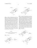 Tripolide Lactone Ring Derivatives as Immunomodulators and Anticancer Agents diagram and image