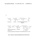 Skin and Hair Restoration by Natural Amino Acid and Peptide Crown Complexes diagram and image