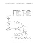 Skin and Hair Restoration by Natural Amino Acid and Peptide Crown Complexes diagram and image