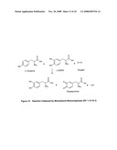 Skin and Hair Restoration by Natural Amino Acid and Peptide Crown Complexes diagram and image