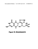 Skin and Hair Restoration by Natural Amino Acid and Peptide Crown Complexes diagram and image