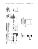 Silk Thread Containing Spider Thread Protein and Silk Worm Producing the Silk Thread diagram and image