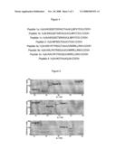 METHOD FOR PRODUCING INHIBITORS AND INHIBITORS FORMED THEREFROM diagram and image