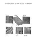 PEPTIDE MEDIATED SYNTHESIS OF METALLIC AND MAGNETIC MATERIALS diagram and image