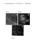 PEPTIDE MEDIATED SYNTHESIS OF METALLIC AND MAGNETIC MATERIALS diagram and image