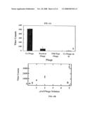 PEPTIDE MEDIATED SYNTHESIS OF METALLIC AND MAGNETIC MATERIALS diagram and image