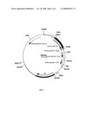 Alteration of Fc-fusion protein serum half-lives by mutagenesis diagram and image