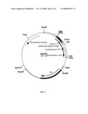 Alteration of Fc-fusion protein serum half-lives by mutagenesis diagram and image