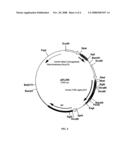 Alteration of Fc-fusion protein serum half-lives by mutagenesis diagram and image