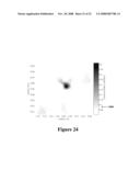 INTEGRAL BASED PARAMETER IDENTIFICATION APPLIED TO THREE DIMENSIONAL TISSUE STIFFNESS RECONSTRUCTION IN A DIGITAL IMAGE-BASED ELASTO-TOMOGRAPHY SYSTEM diagram and image