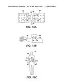 Process and apparatus for treating biological organisms diagram and image