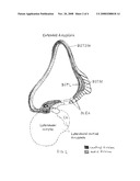 METHODS OF IMPROVING NEUROPSYCHOLOGICAL FUNCTION IN PATIENTS WITH NEUROCOGNITIVE DISORDERS diagram and image