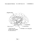 METHODS OF IMPROVING NEUROPSYCHOLOGICAL FUNCTION IN PATIENTS WITH NEUROCOGNITIVE DISORDERS diagram and image