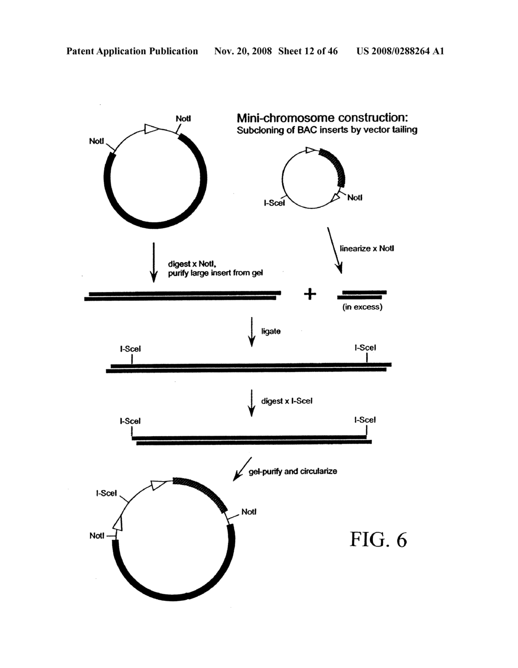 Methods for generation or increasing revenues from crops - diagram, schematic, and image 13