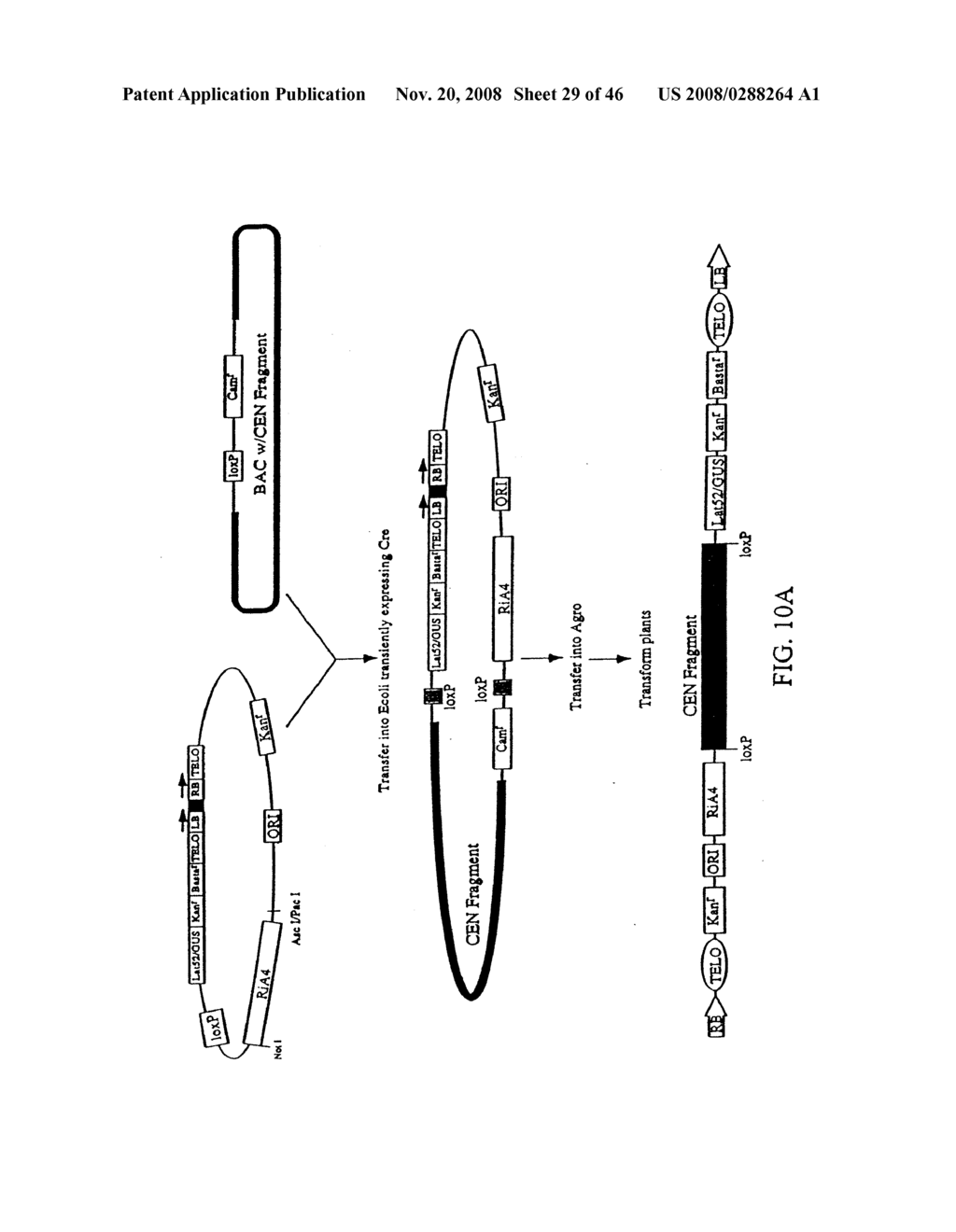 Methods for generation or increasing revenues from crops - diagram, schematic, and image 30