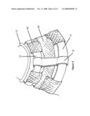 Dog training collar diagram and image