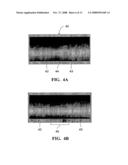 System for color match and digital color display diagram and image