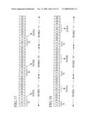 Information recording carrier and information reproducing apparatus for the same diagram and image