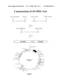 Modified Proteins, Designer Toxins, and Methods of Making Thereof diagram and image