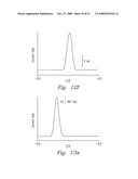 Functionalized Encoded Apoferritin Nanoparticles and Processes for Making and Using Same diagram and image